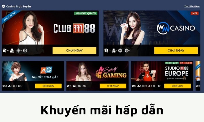 Tìm hiểu những thông tin chi tiết về Ms88vtv