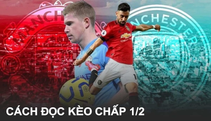 Hướng dẫn cách đọc và tính kèo 0.5