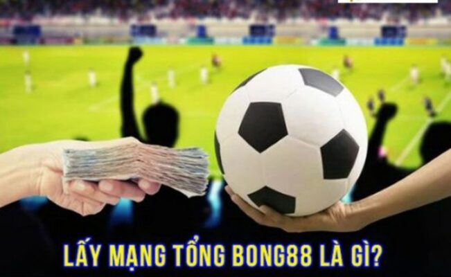 Hình thức chơi lấy trang Bong88 đang cực kỳ phổ biến