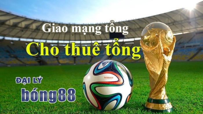 Tổng Bong88 mang đến cho anh em đa dạng các hình thức giải trí